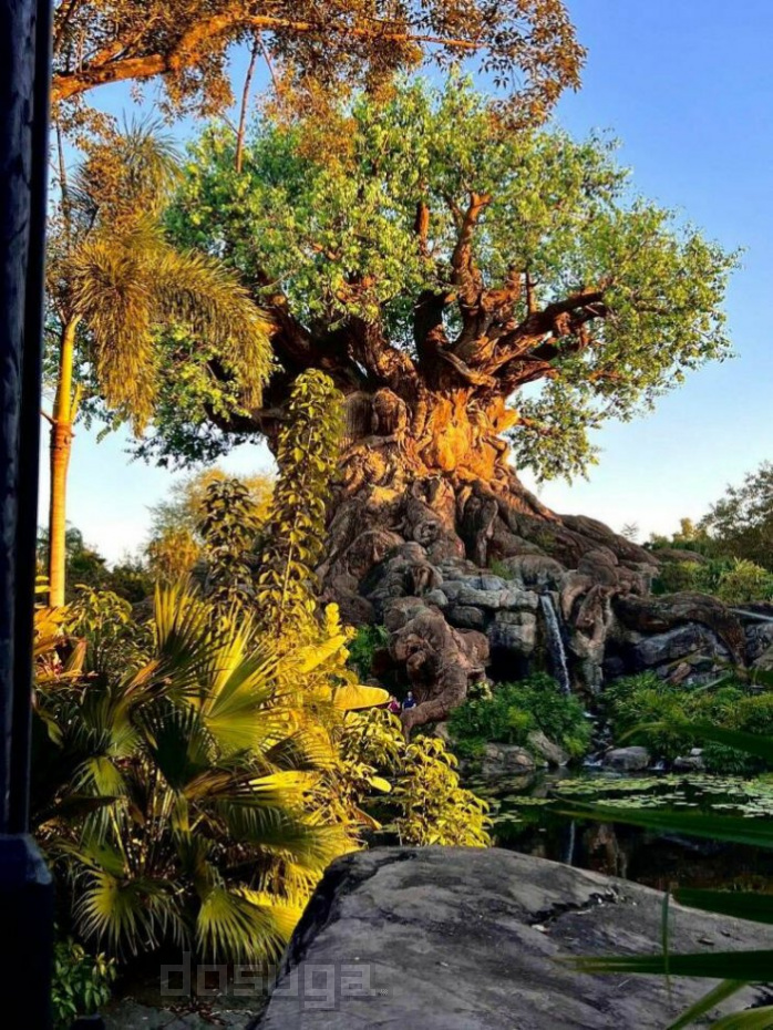 новые приколы