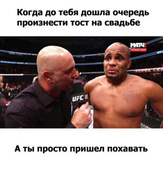 смешные картинки с надписями - юмор новый