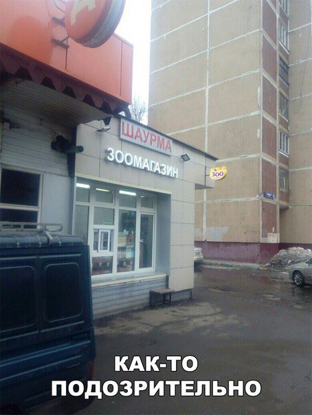 смешные картинки с надписями - юмор новый