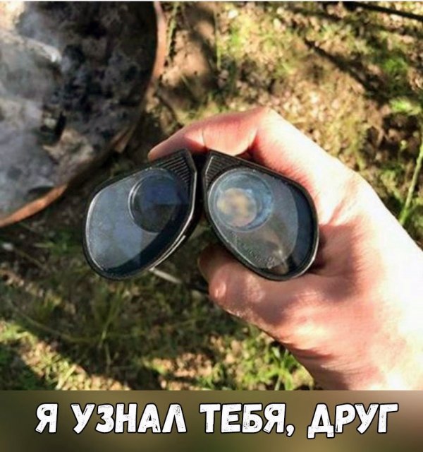 смешные картинки с надписями - юмор новый