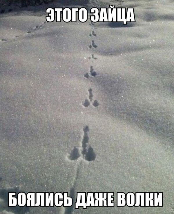 смешные картинки с надписями - юмор новый