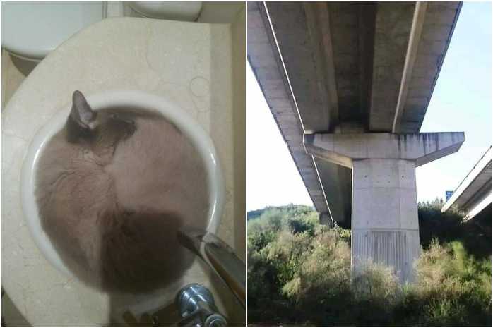 Смешные фотографии для Настроения