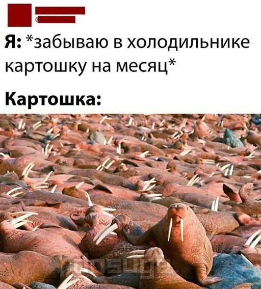 Комментария из сети