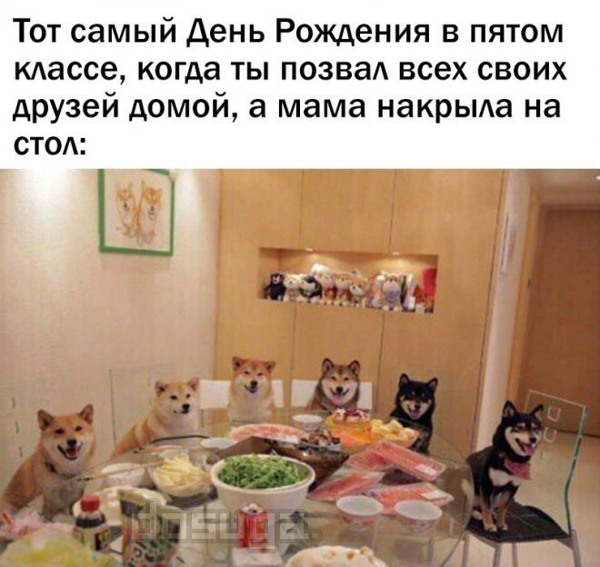 Мемы юмор дня до слез