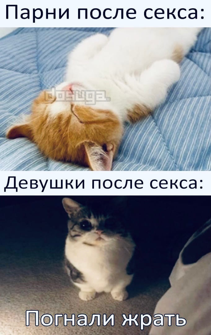 Взрослый юмор