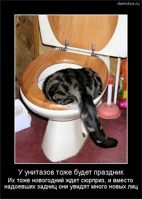 новогодние приколы