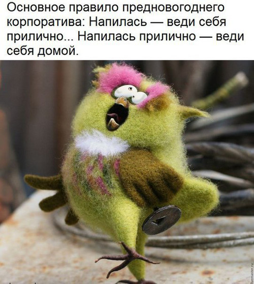 новогодние приколы