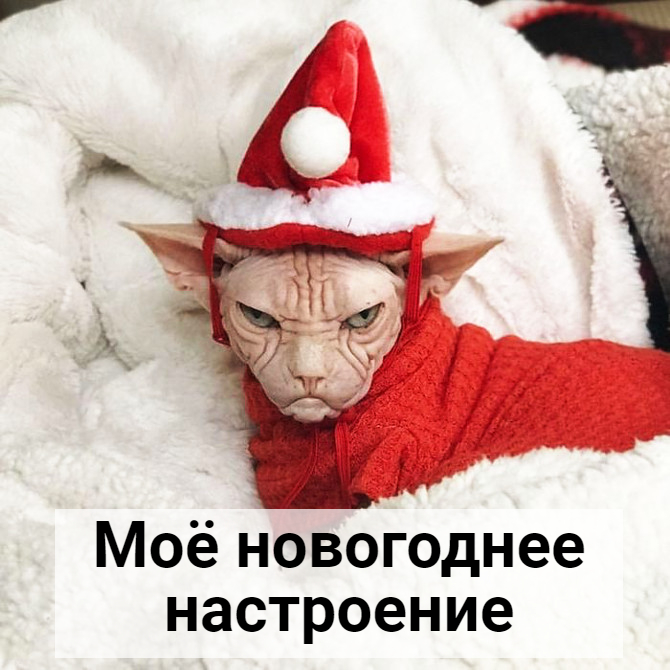 новогодние приколы