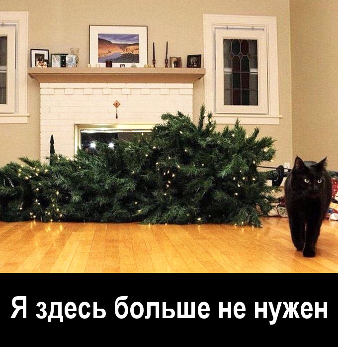 новогодние приколы