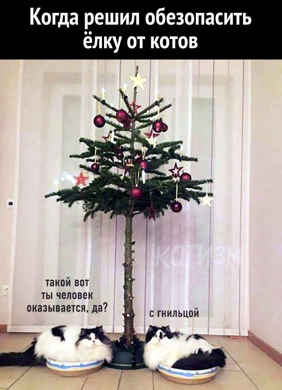 новогодние приколы