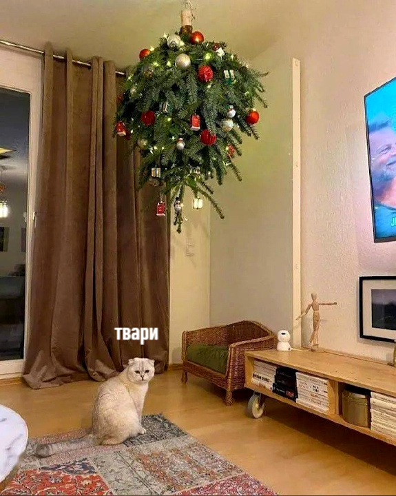 новогодние приколы