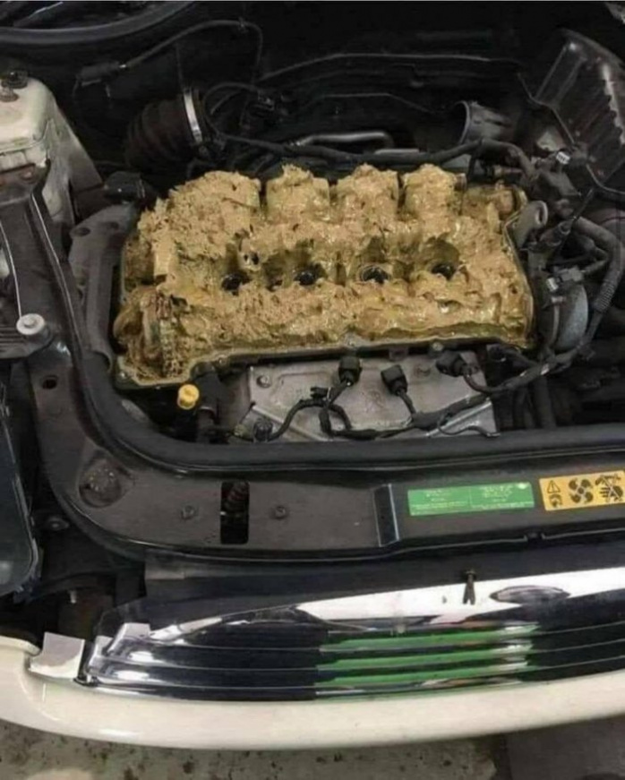 фотоприколы