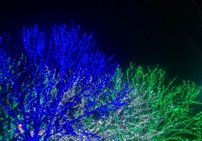 картинка для новогоднего настроения