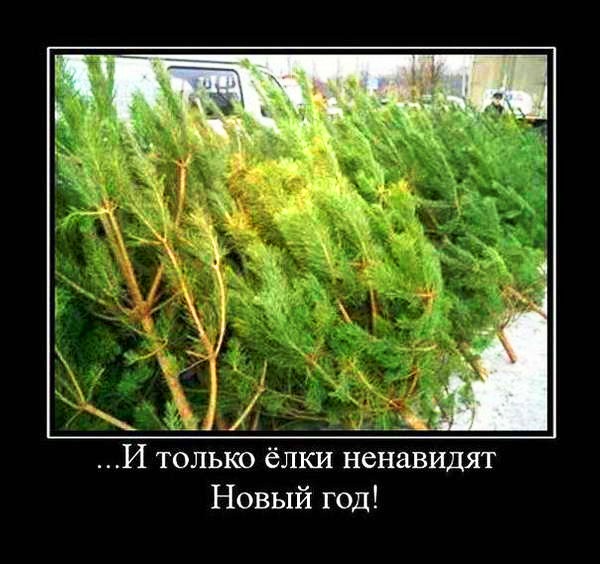 демотиваторы про новый год