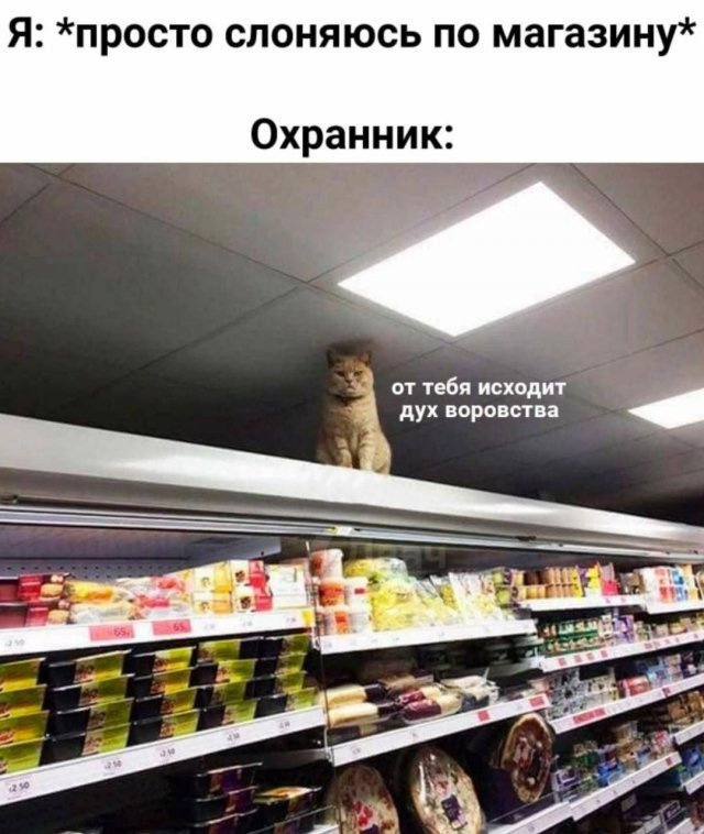 мем