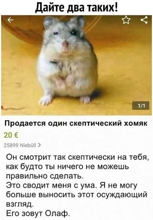 Смешные комментарии скриншоты и картинки с надписями социальных сетей.