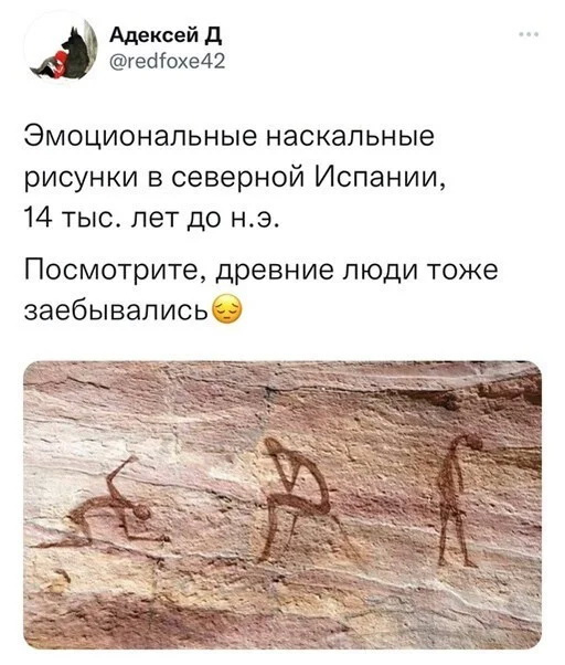 комментария из сети