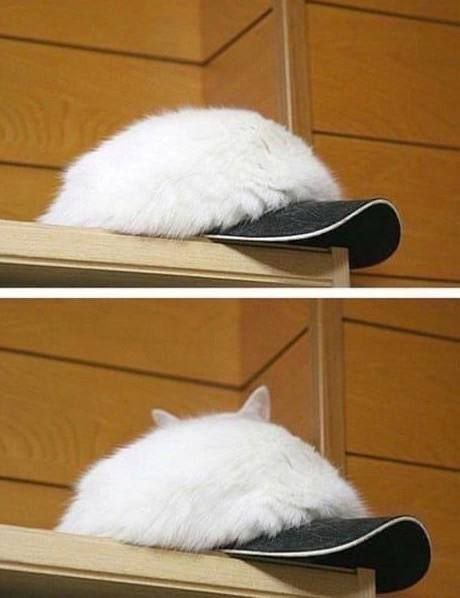 мем смешной ситуация страшная