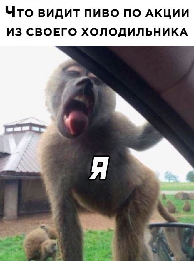 Смешной мем