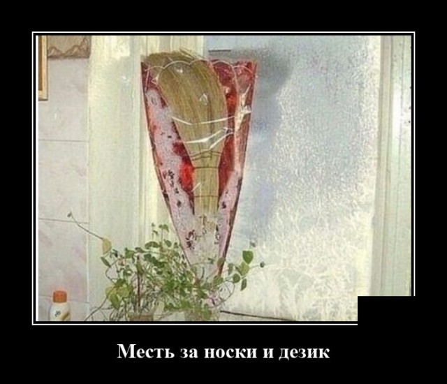 демотиватор