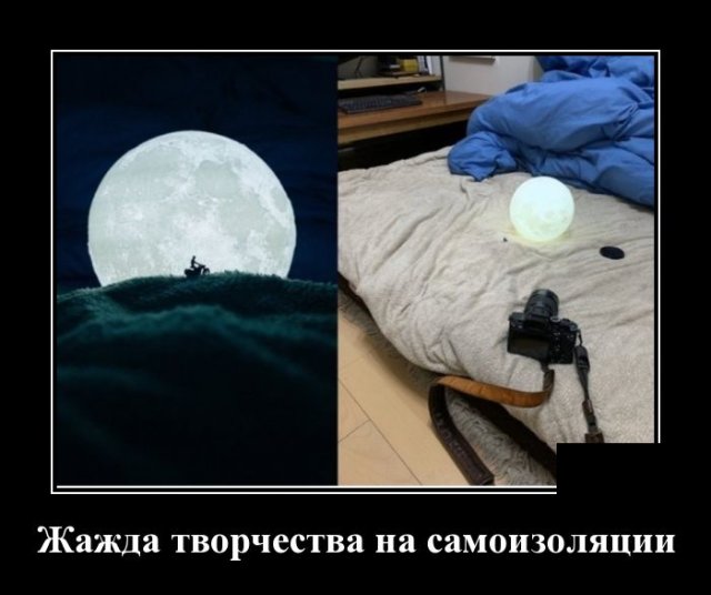 демотиватор картинка