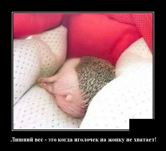 демотиватор картинка