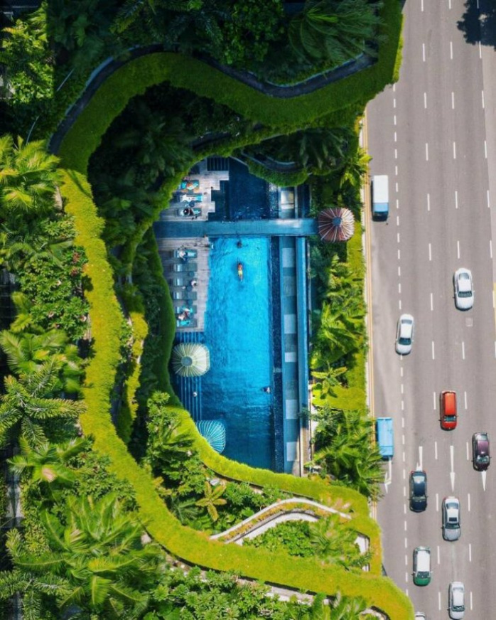 фото-прикол