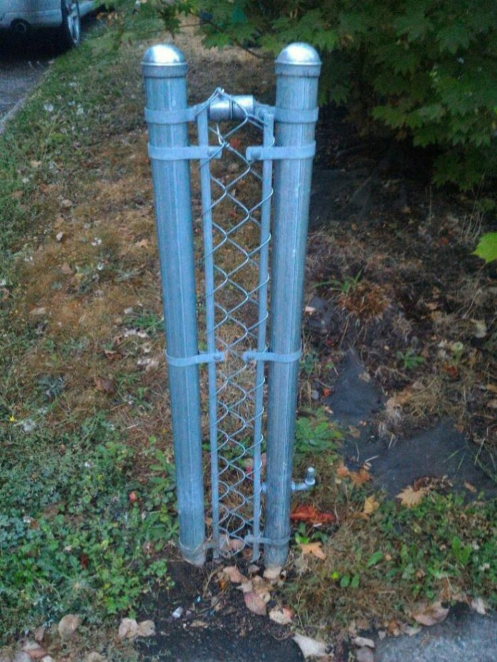 фото-прикол