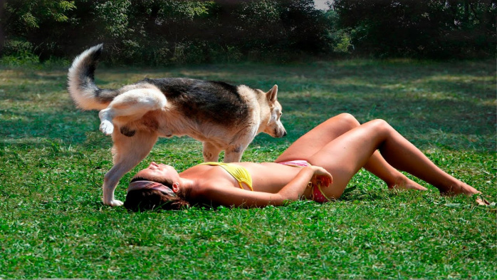 пошлый юмор