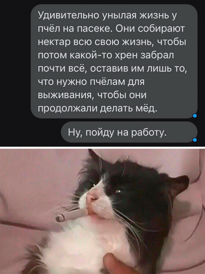 Юмор