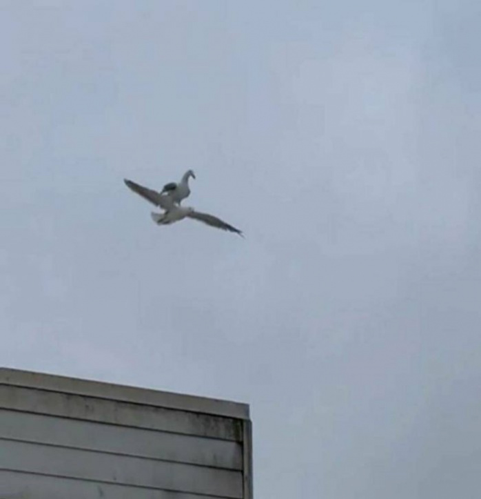 Фото приколы