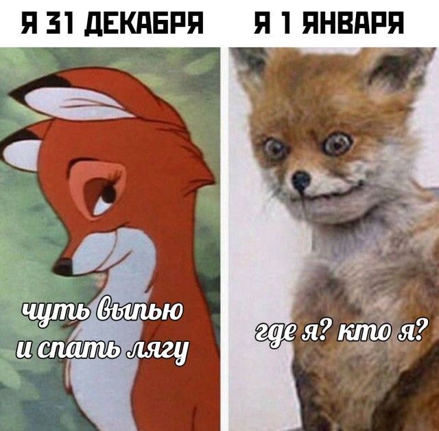 Приколы после нового года