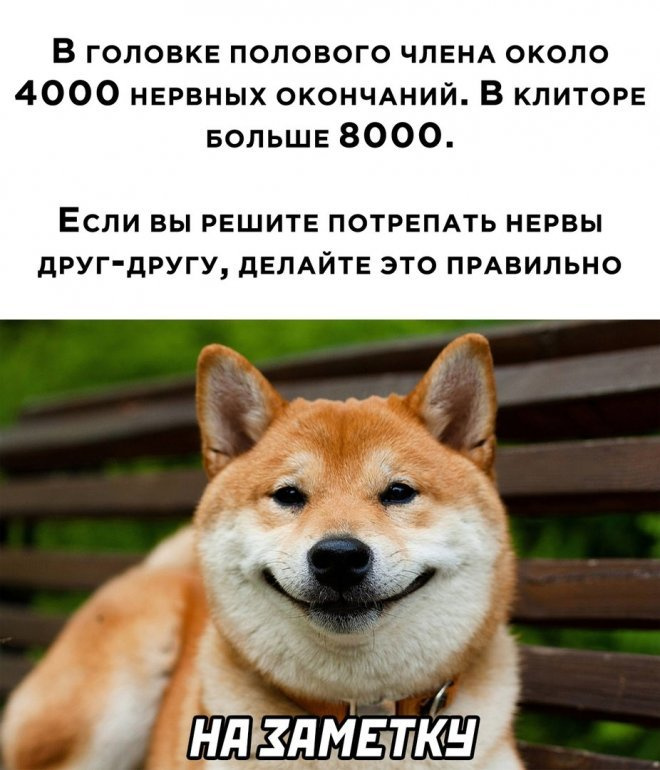 Мемы смешные