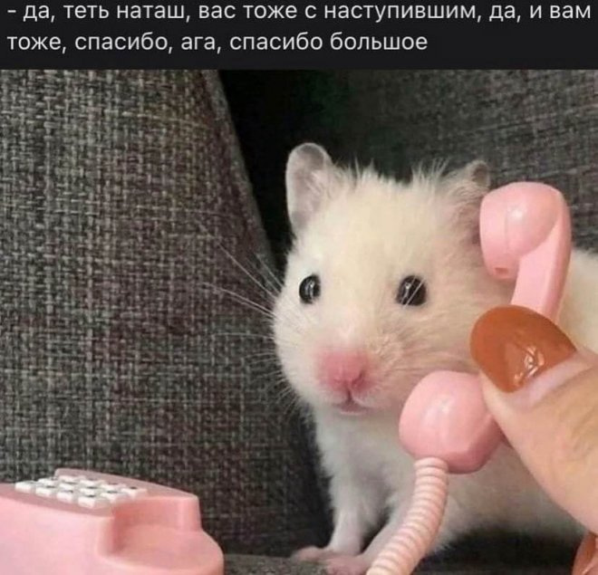 Мемы смешные