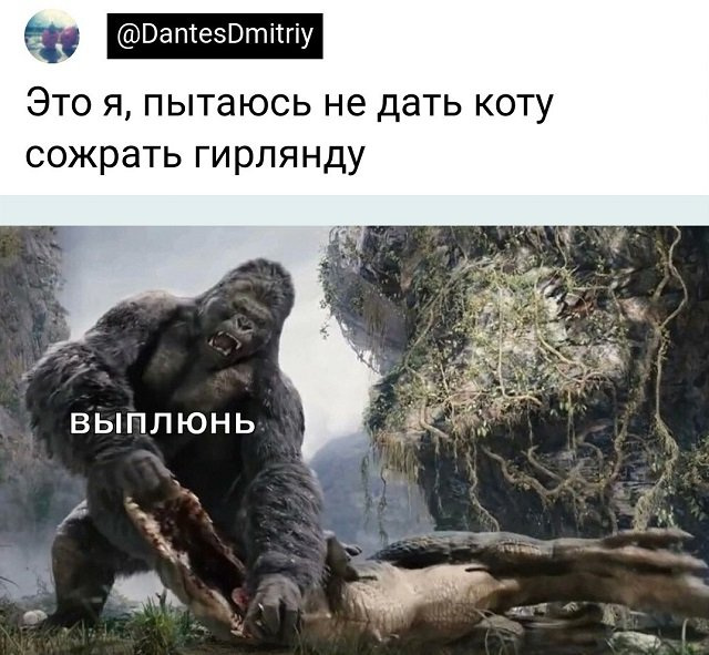 картинки с надписями