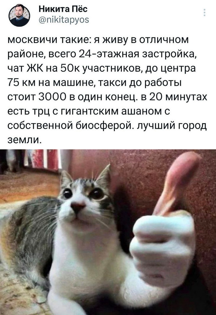 Смешные комментария