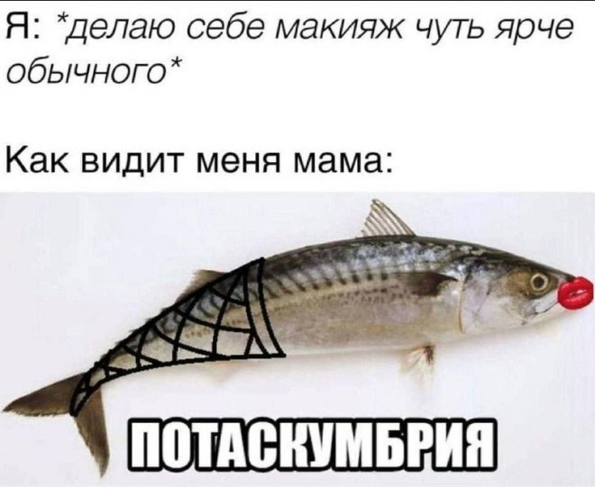 Мемы на Досуге