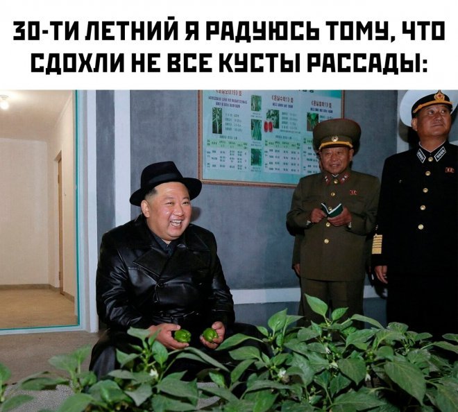 Мемы на Досуге