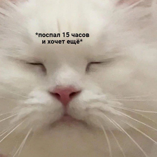 Мемы на Досуге