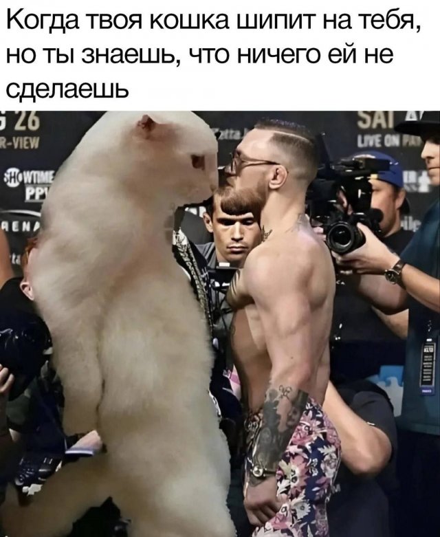 Мемы на Досуге