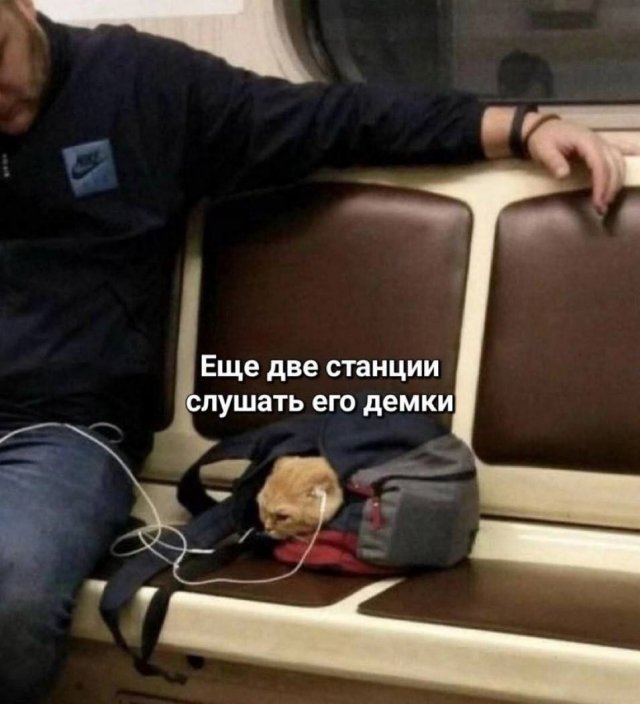 Мемы на Досуге