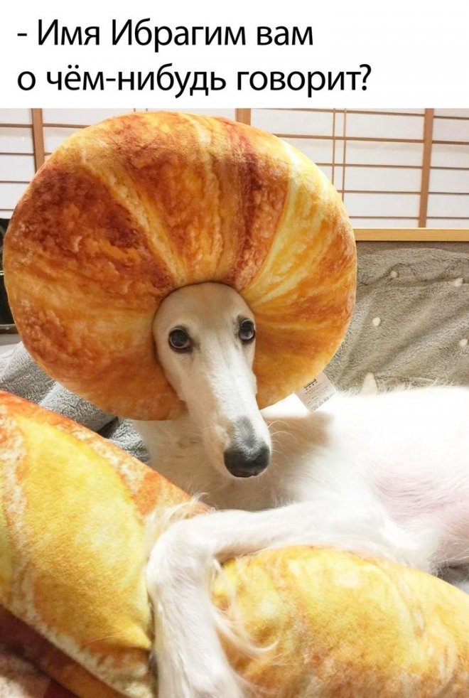 Мемы на Досуге