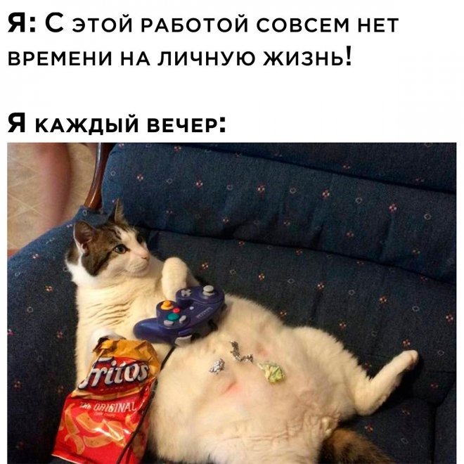 Мемы на Досуге