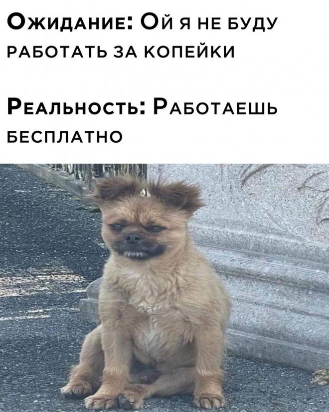 Мемы на Досуге