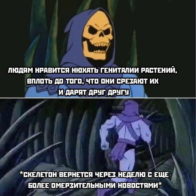 Мемы на Досуге