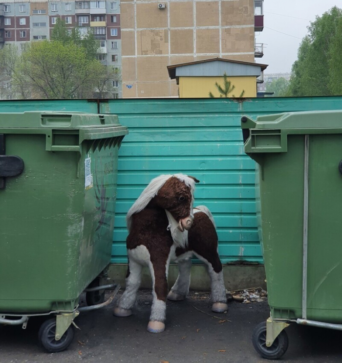 Добрый юмор на тему ненужных вещей