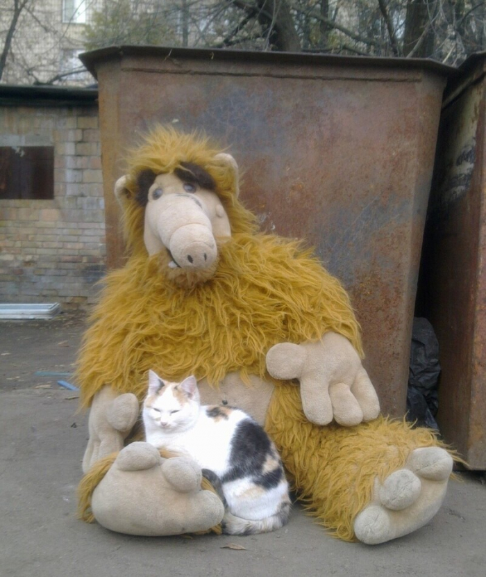 Добрый юмор на тему ненужных вещей