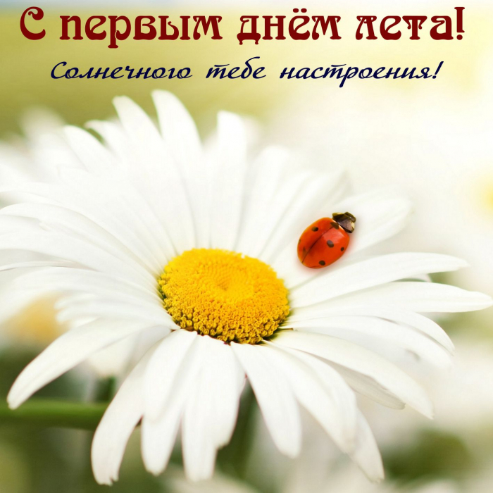 С первым днём лета 1 июня - красивые открытки