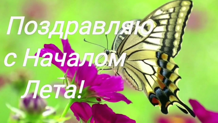 С первым днём лета 1 июня - красивые открытки