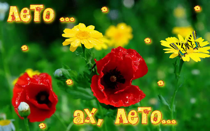 С первым днём лета 1 июня - красивые открытки